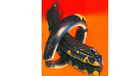 Deel van een armband.