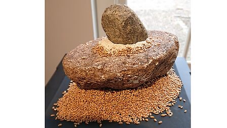 Grote platte steen om graan te malen.