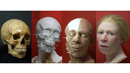 De reconstructie van Aagje: in 4 foto's van schedel naar een hoofd met een gezicht en haren.